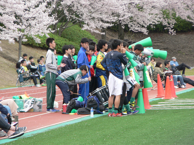 20170409A1_10.jpg